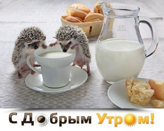 С_добрым_утром_05