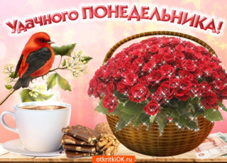 Удачного_понедельника_13_05