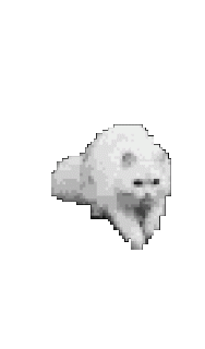 cat3