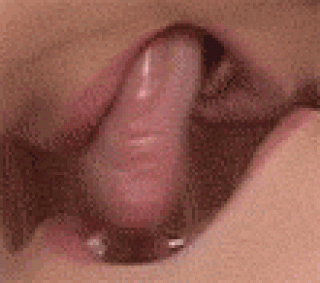 WILD_KISS-_