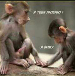 IMG_20190519_032903_296