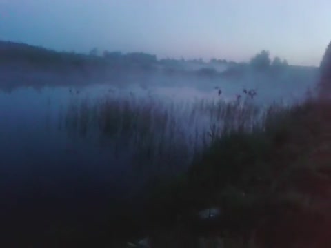 Май_20190520_041625