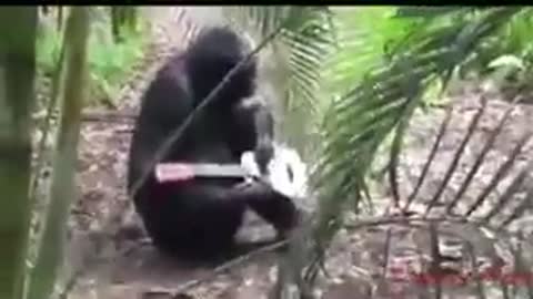 весенний_шансон