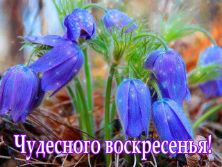 Чудесного_воскресенья_26_05