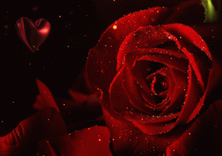 image_862907162036372062897