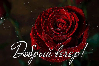 gifka-dobriy-vecher-31-gap