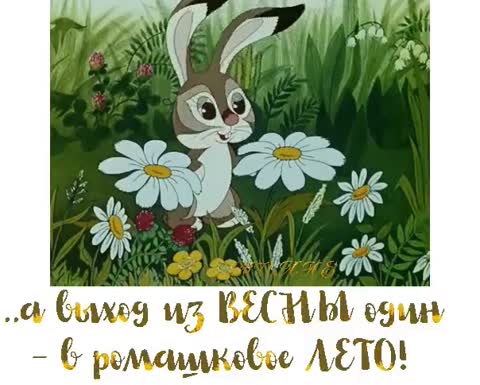 Наступает_лето