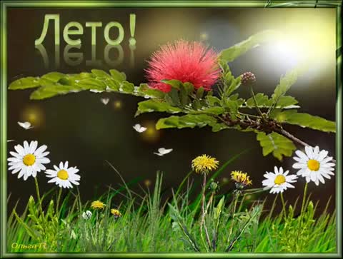 Лето