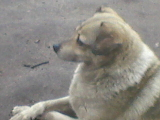 11_04_2019-Жулька