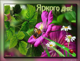 Яркого_дня_04