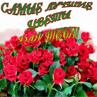Самые лучшие цветы тебе