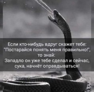 241494532_p_236_236_0