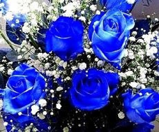 букет из голубых роз
