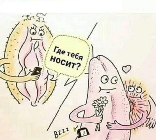 FB_IMG_1560364648425