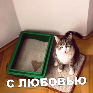 0TxIy6VVzFA