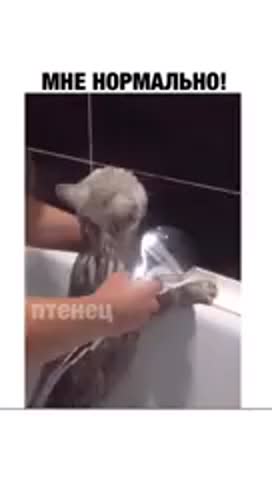 64667367_2319450848311820_8570702261024456704_n