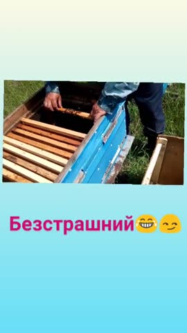 _smilenko_-20190524-0001