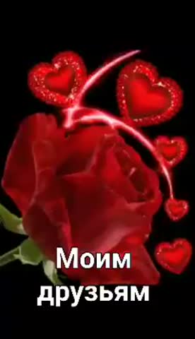 Foiz__51331484_291507018142244_4721780830681169920_n