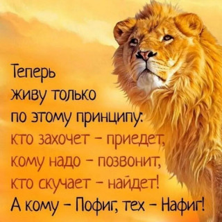 1556325008_107