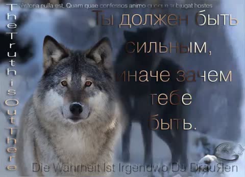 Foiz__боль_заставляет_понимать__ведь_ты_живой___