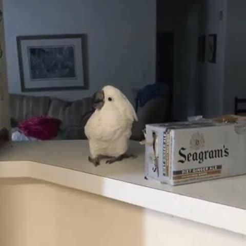 как_полетел___