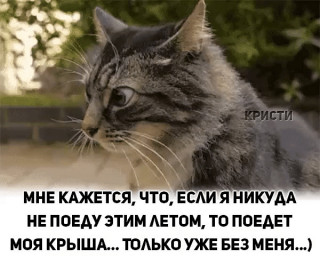 image-14а