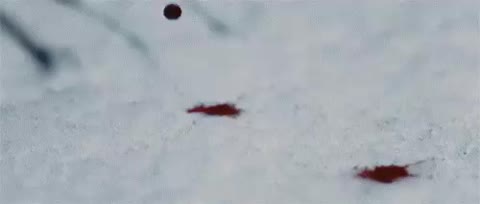 каплями__крови___как_снегири_на_снегу___