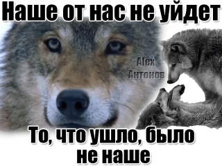 image-1к