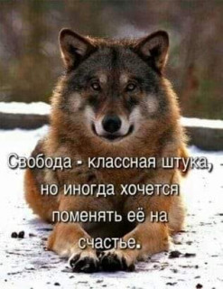 Svoboda-