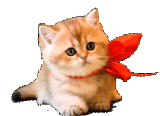 Foiz__15353
