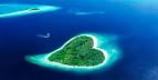 images_19