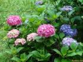 images_20