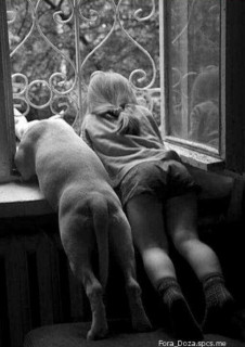 кого_позвали