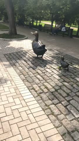 2019_07_13__парк у новодевичего монастыря