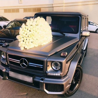 luxxury__lifee___Bz0Hk-CAgBO___