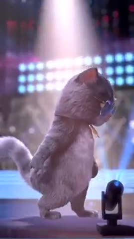 66852594_342645716648054_8405091234078523392_n