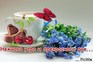 Нежного_утра_23