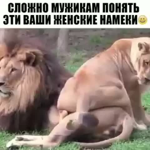 сложно_мужикам