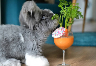 thehappybunnyclub___B0JP-_mD3I8___