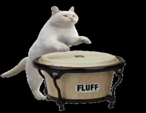 video-0-02-05-5bd19a6f13061d629119b0aca273ba2ef92ff08f050f3e45883356960c0c8e5d-V