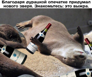 3wHTQjIaonI