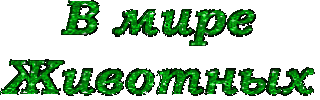 В_мире_животных