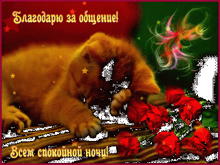 11417b6b8a8aa45f436a976fc45f31d2