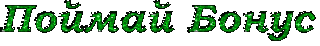 поймай_бонус