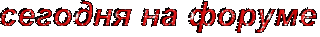 Сегодня на форуме