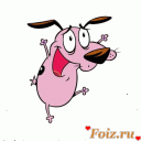 песопривет