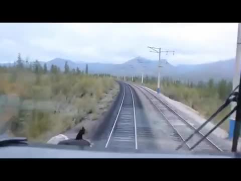 Foiz__KRASNOJARSK_ABAKAN-_-1