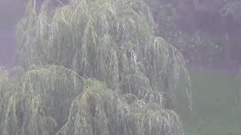 День_Ильи