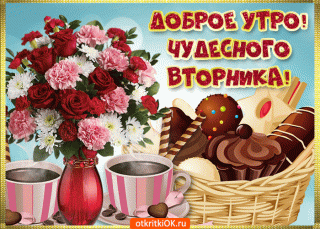 jelaiu-legkogo-vtornika