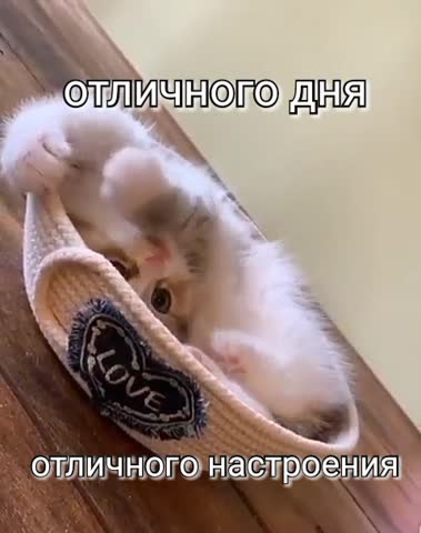 Отличного_дня